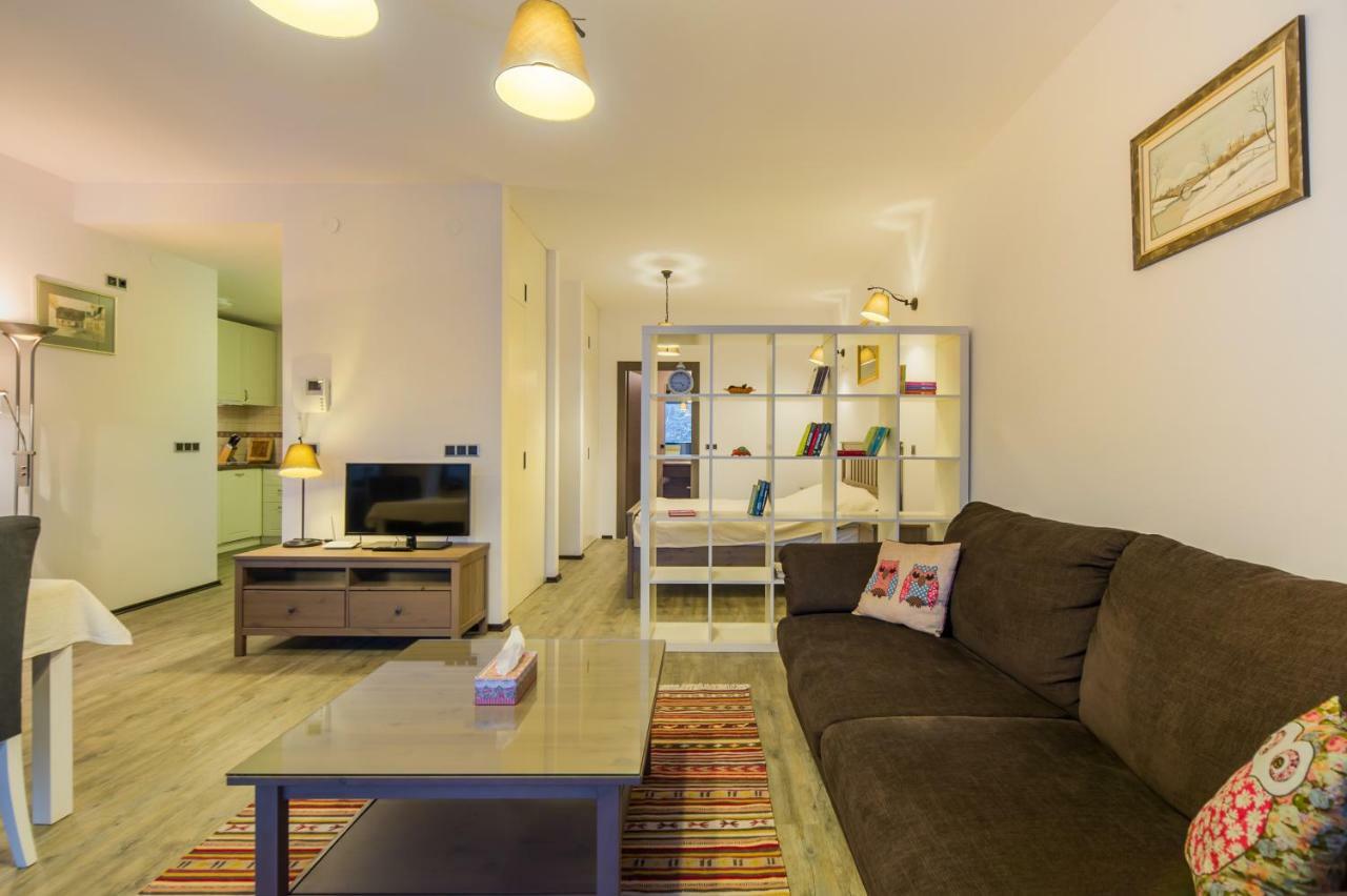 Twin Studio Silver Mountain פויאנה ברשוב מראה חיצוני תמונה