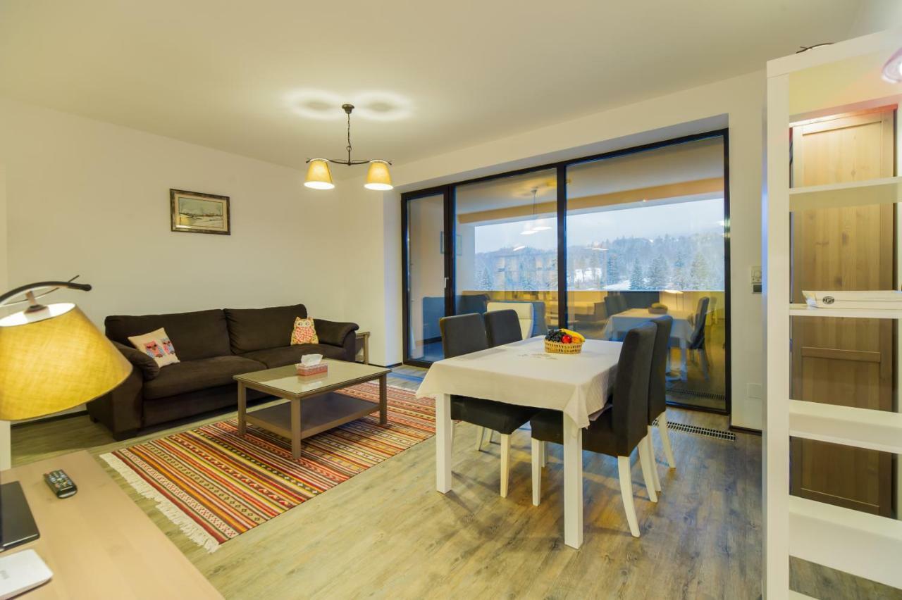 Twin Studio Silver Mountain פויאנה ברשוב מראה חיצוני תמונה