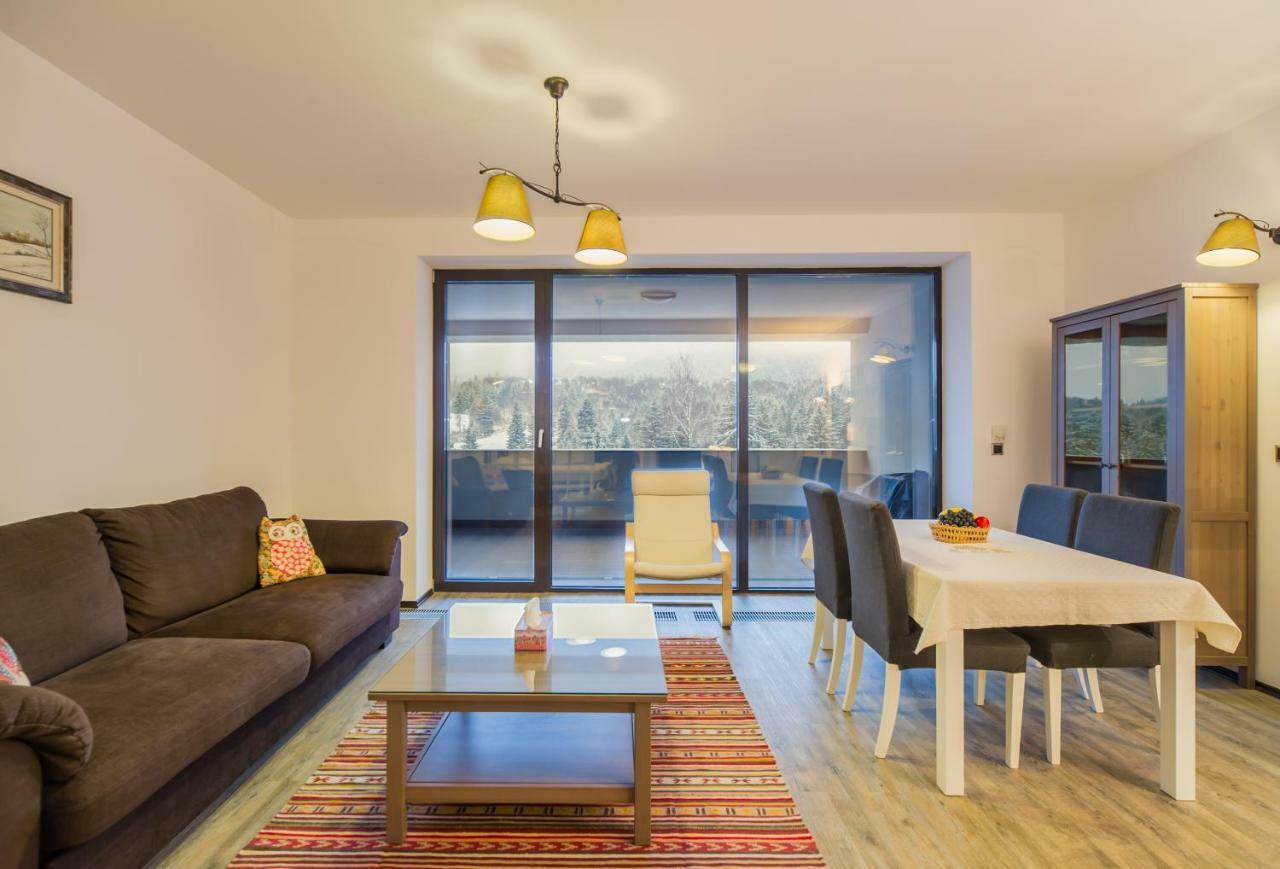 Twin Studio Silver Mountain פויאנה ברשוב מראה חיצוני תמונה