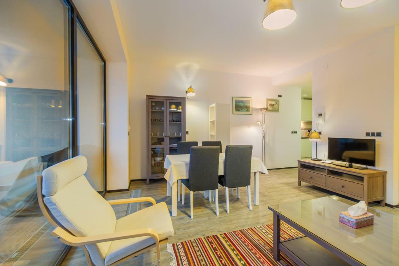 Twin Studio Silver Mountain פויאנה ברשוב מראה חיצוני תמונה